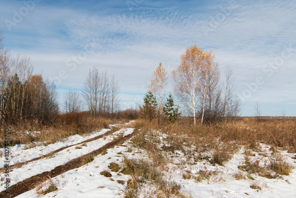 Fototapeta Autumn landscape. Sunny November day, the first white snow is melting on a field with dry grass. Brown bushes, birch with the last yellow leaves. There is a cold blue sky above the horizon.
