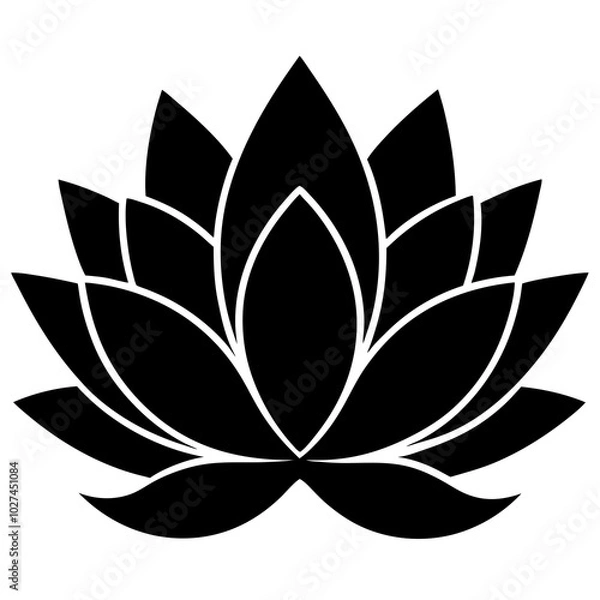Obraz lotus flower vector
