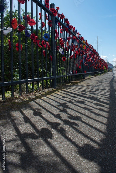 Fototapeta poppy fence along path next to sea summer