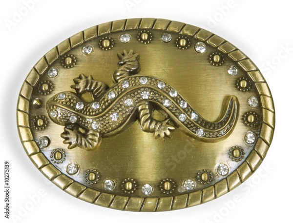 Obraz oval brooch with lizard on white background