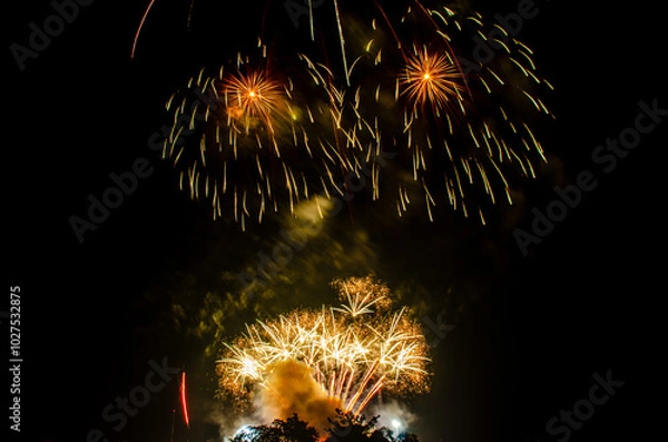 Obraz Colorful fireworks  on the dark sky background.fireworks light up the night sky,Real picture