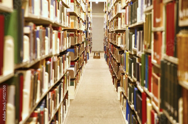 Obraz library interior