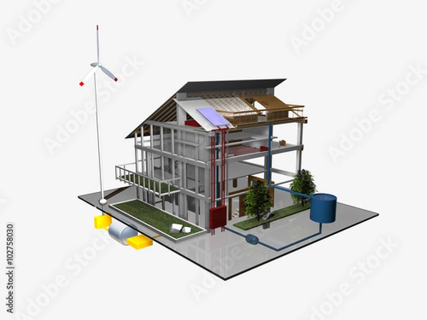 Obraz Casa ecologica