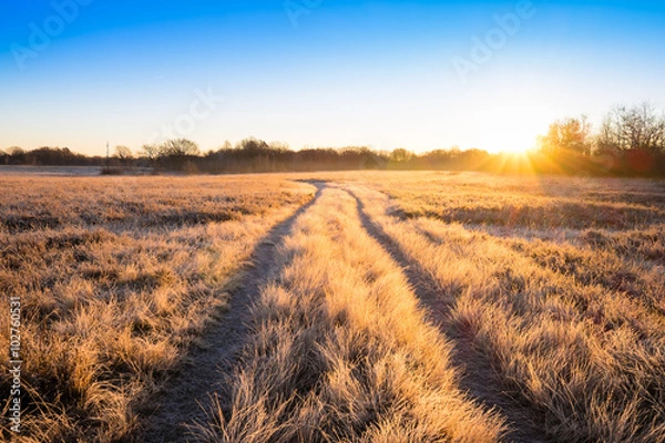 Obraz alba in campagna