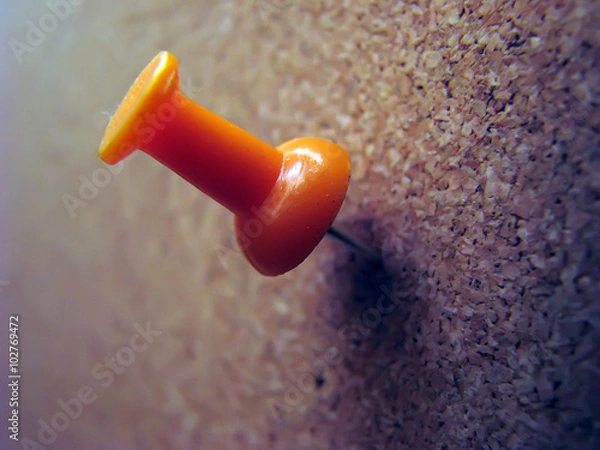 Fototapeta Pushpin on board