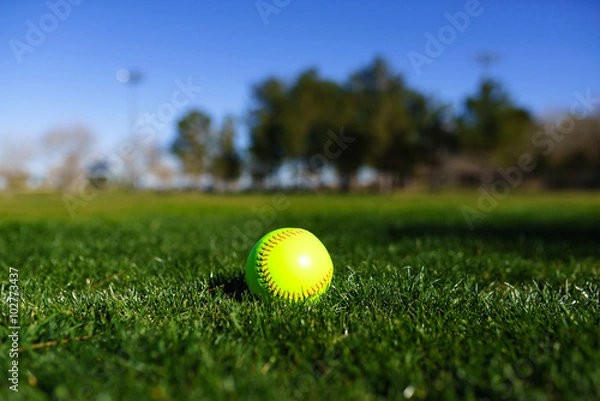 Obraz Softball in a softball field in California mountains