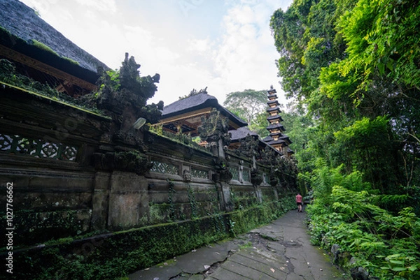 Fototapeta Cracked pavement footpath next to Pura Gunung Lebah temple marks the beginning of the Campuhan Ridge Walk in Ubud, Bali, Indonesia. Moss covered concrete walls and jungle on either side.