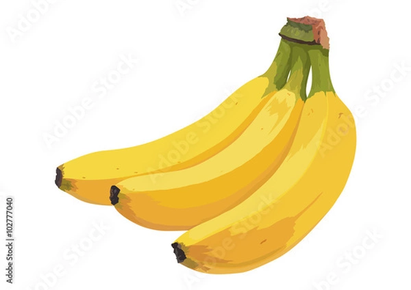 Obraz バナナ