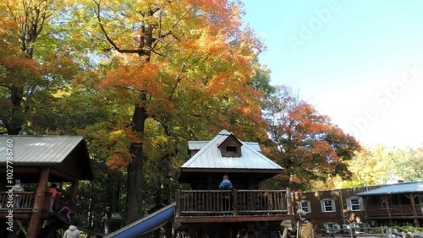 Obraz automne 2024 A