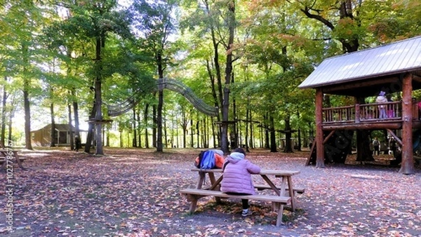 Obraz automne 2024 A