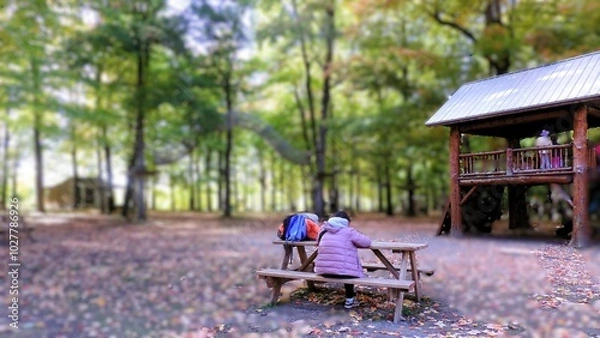 Obraz automne 2024 A