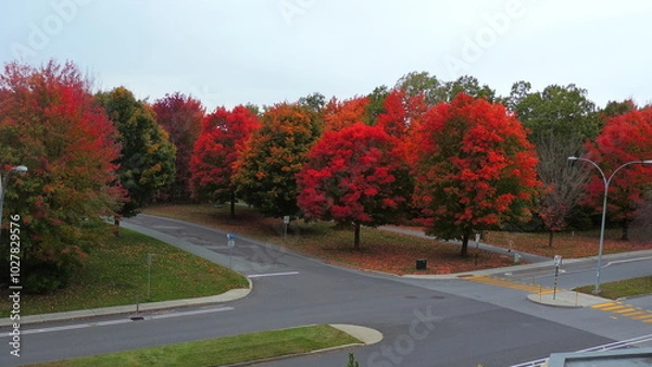 Obraz automne 2024 B