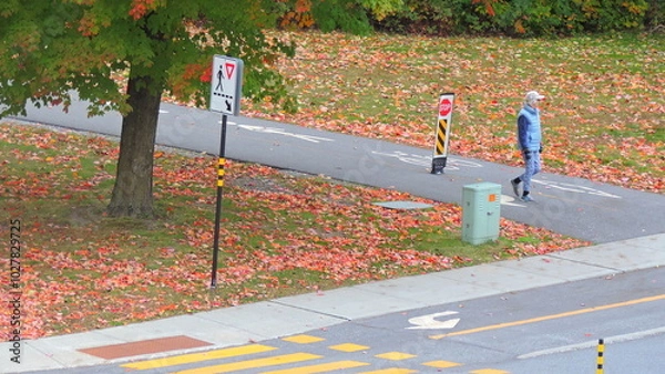 Obraz automne 2024 B