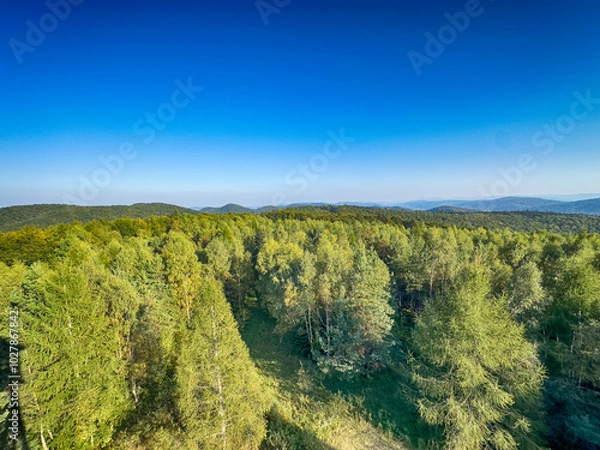 Fototapeta The landscape of Carpathian Mountains in the sunny weather. Perfect weather condition in the summer season