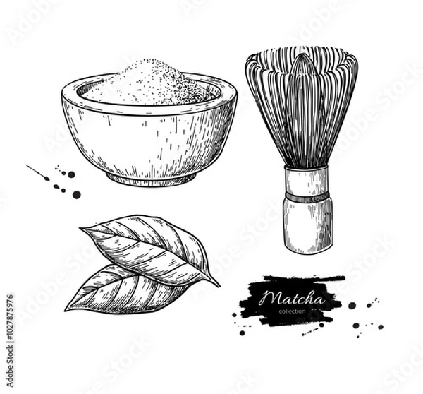 Fototapeta Matcha tea vector drawing. Bowl with matcha powder, green tea leaves, and bamboo whisk sketch. 