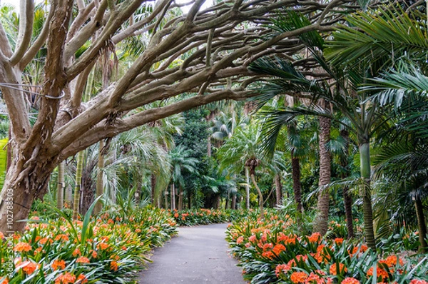 Fototapeta Aleja ogrodów botanicznych