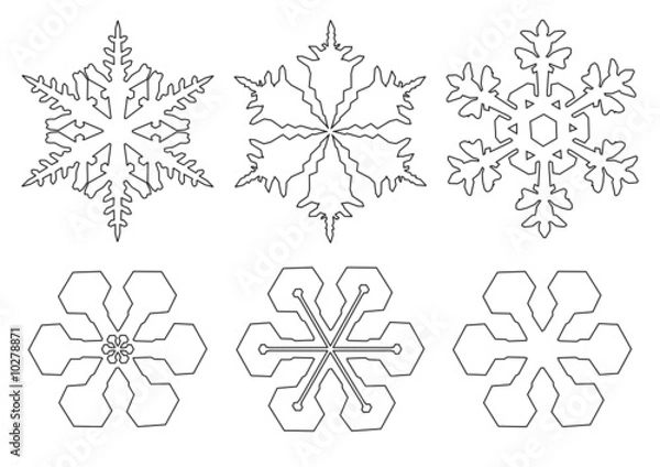 Obraz flocons de neige