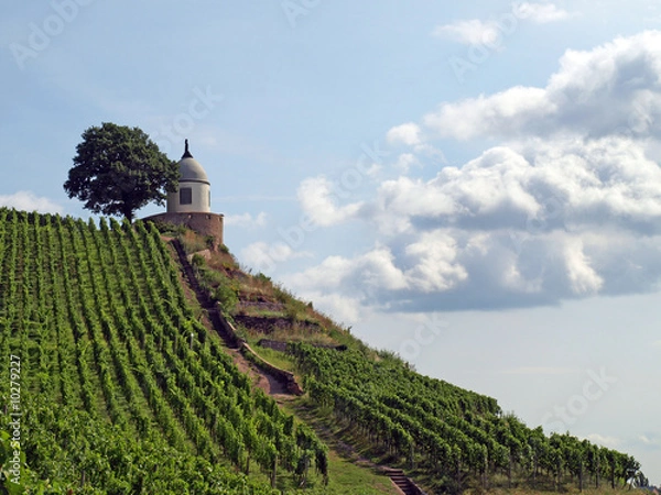 Obraz Jacobstein in Radebeul
