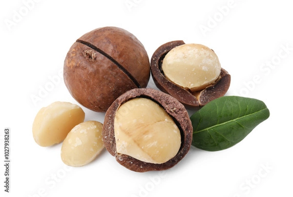 Fototapeta Macadamia nuts with shells isolated on white