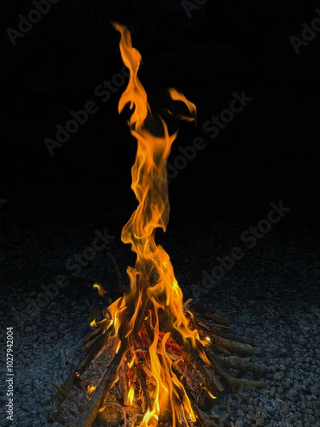 Obraz fire in the night