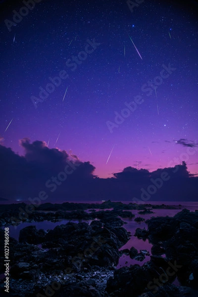 Obraz 夜明けの流星群