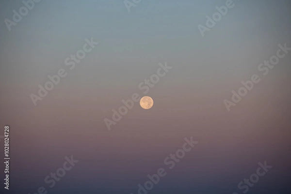 Fototapeta Full Moon 