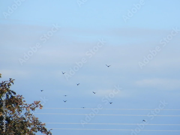 Fototapeta moon in the sky