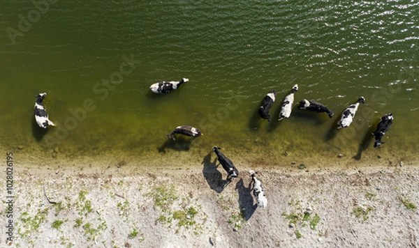 Fototapeta caws refreshing 