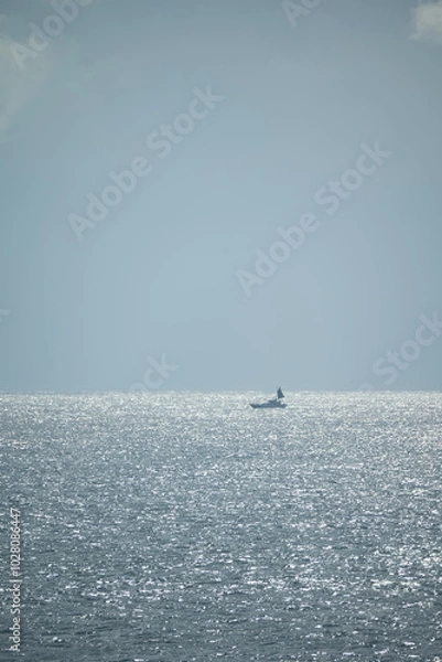 Obraz 海に浮かぶ船