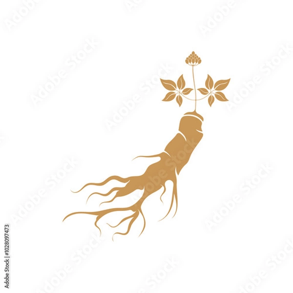 Obraz Ginseng logo design template and symbol icon