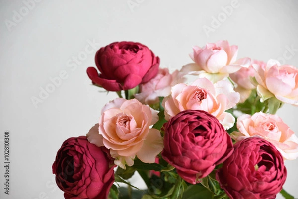 Obraz 赤とピンクのばら