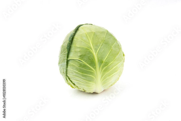 Fototapeta 건강한 샐러드용 채소 양배추