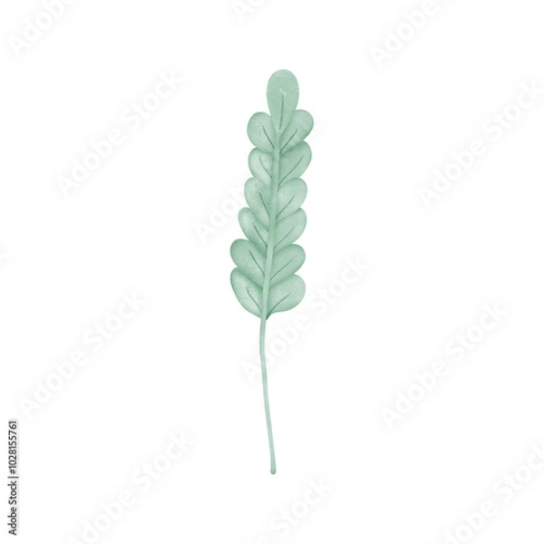 Obraz plant isolated on white background