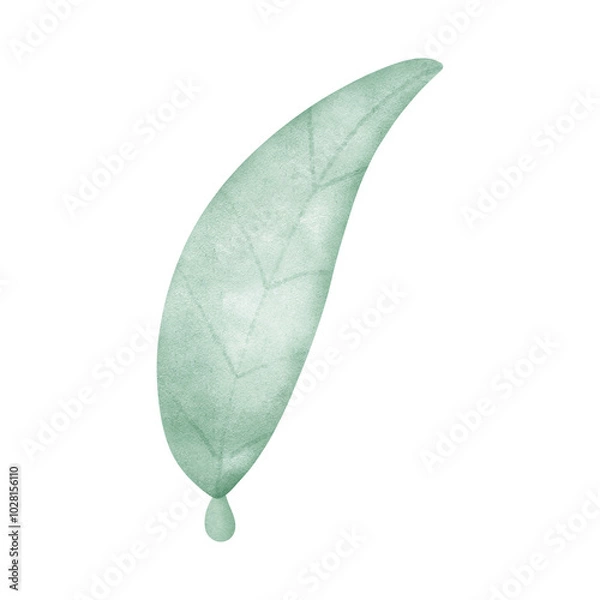 Obraz leaf and flower