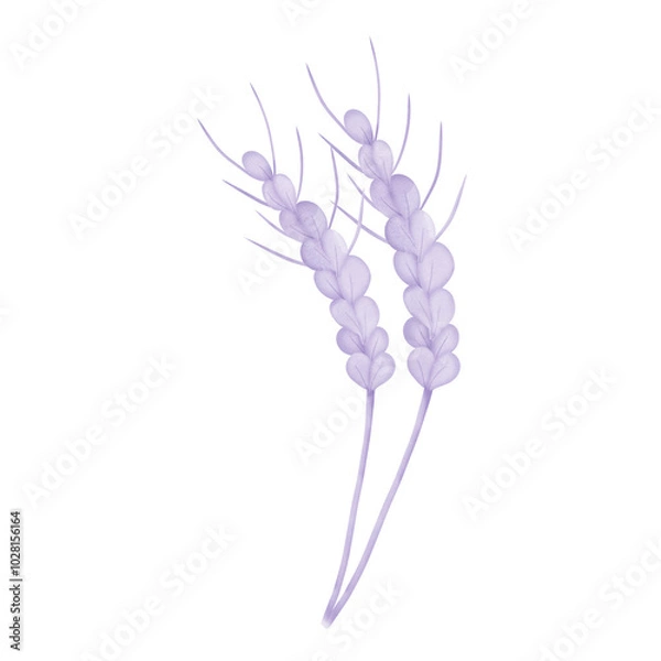 Fototapeta leaf isolated on white background