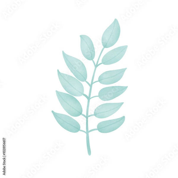 Obraz leaf isolated on white background