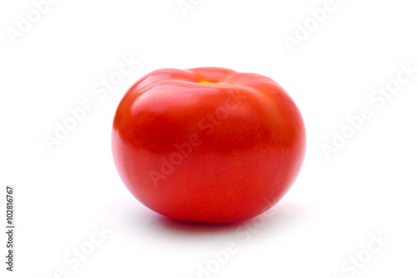 Obraz red tomato isolated on white