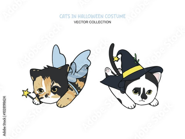 Obraz Cat_Halloween