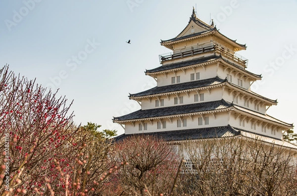 Obraz 島原城と梅