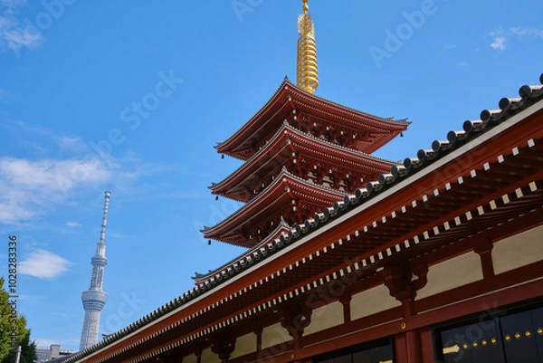 Obraz 浅草寺の五重塔と東京スカイツリー