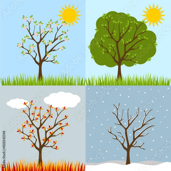 Obraz Autumn, winter, spring, summer tree collection with shadow. Seasons of tree. Four seasons trees. Cartoon tree collection