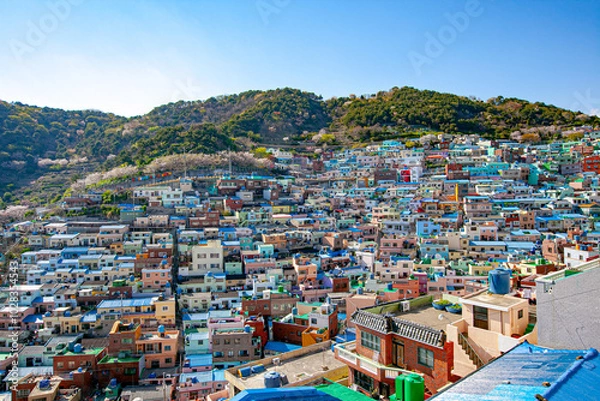 Fototapeta 한국 부산 감천마을