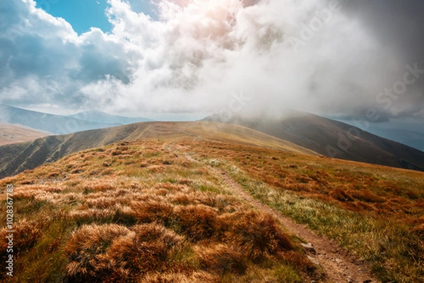 Fototapeta White fluffy clouds enveloped the mountain range on a sunny day. Carpathian mountains, Ukraine, Europe.