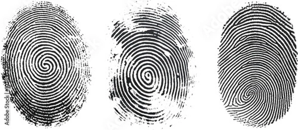 Fototapeta Vector black fingerprint on white Transparent  background.