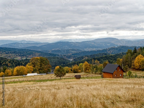 Fototapeta A wooden cabin sits on a grassy hill overlooking a valley. The valley is filled with rolling hills covered in lush green forests. A blue sky with fluffy white clouds can be seen in the distance.