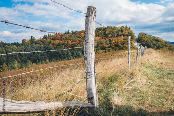 Obraz Barbwire Fence