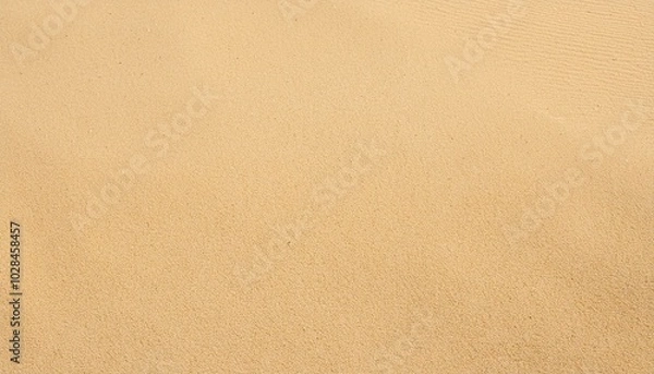 Fototapeta 砂