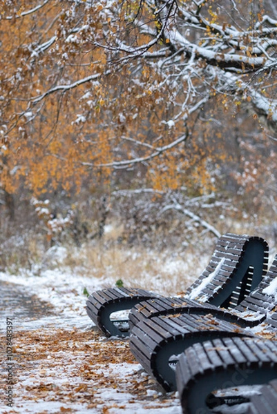 Fototapeta The first snow in the autumn park.A cloudy November day.Yellow foliage on the trees, paths and benches in the snow, autumn landscape.
