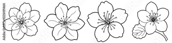 Fototapeta line art vector illustration collection of cherry blossom . isolate on a white background. SVG and PNG
