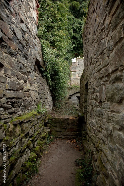 Fototapeta Ruin of Villers Abbey former Cistercian abbey located in Belgium